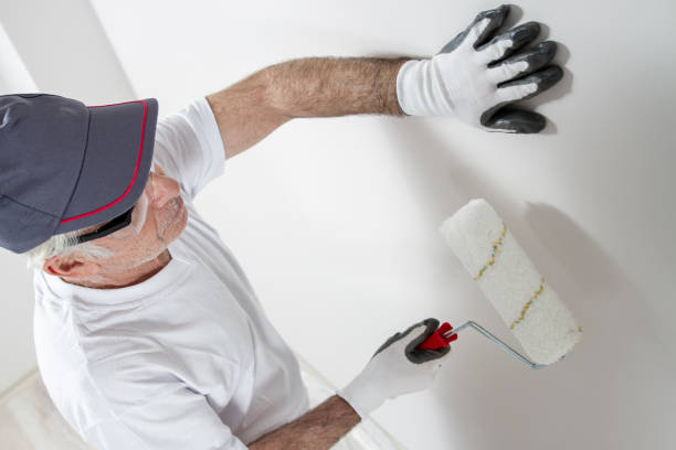 Best Emergency Mold Remediation  in Lake City, GA