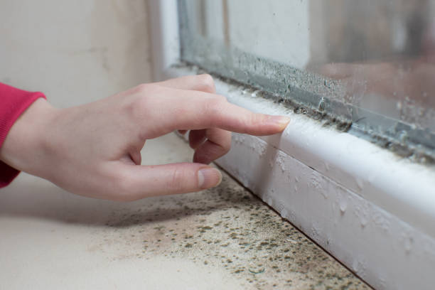 Best Air Quality Testing for Mold Spores  in Lake City, GA