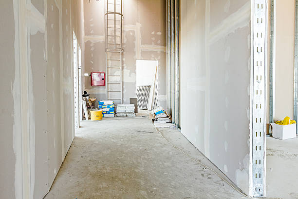 Best Black Mold Removal  in Lake City, GA